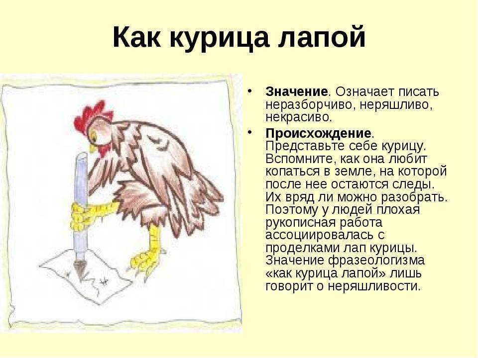 «как курица лапой» - значение и происхождление фразеологизма