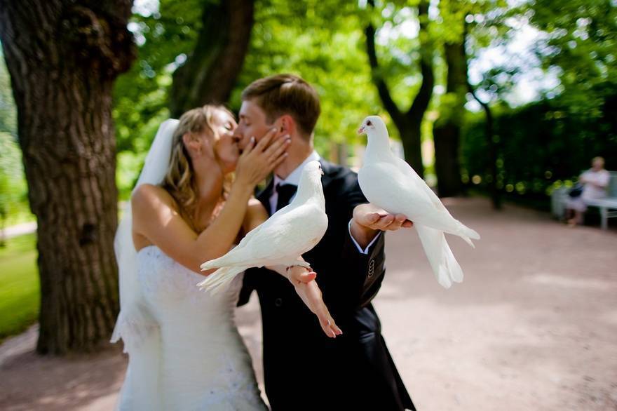 Приметы на замужество для незамужних девушек: как быстро выйти замуж и приблизить свадьбу