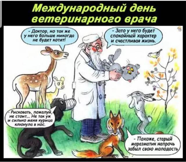 Международный день ветеринарного врача | fiestino.ru
