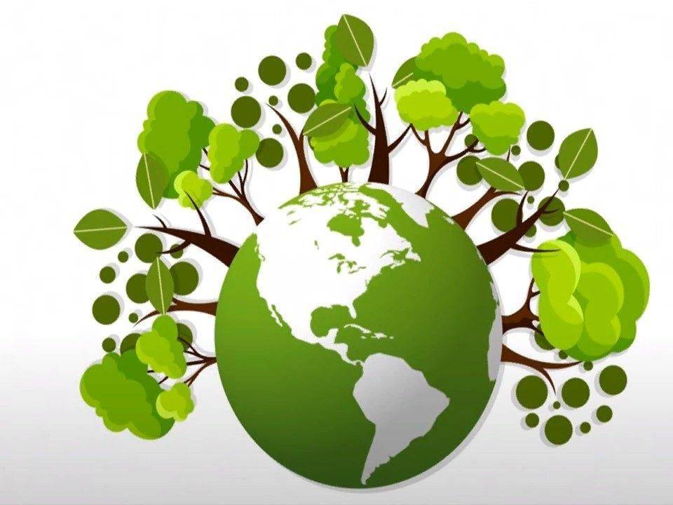 «зеленые» и трендовые: как работать с поколениями по вопросам экологии | рбк тренды