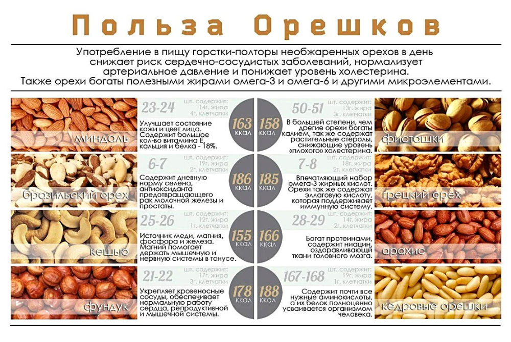 Какие орехи самые полезные для детей - состав и свойства грецких, кедровых, арахиса, фундука, кешью, миндаля