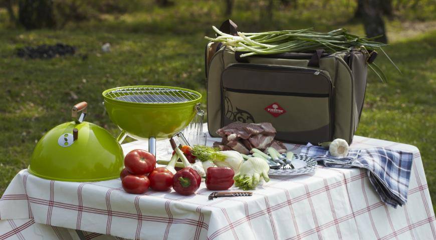 Что взять на пикник для семьи на природе – полезный список, что нужно для пикника