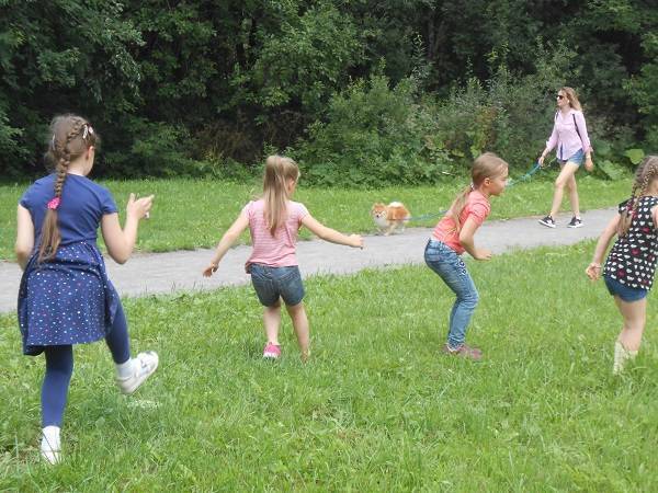Подвижные игры на день рождения для детей 5-10 лет