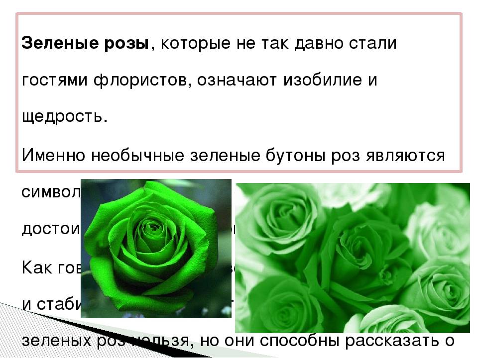 Что означают розы в зависимости от цвета бутонов