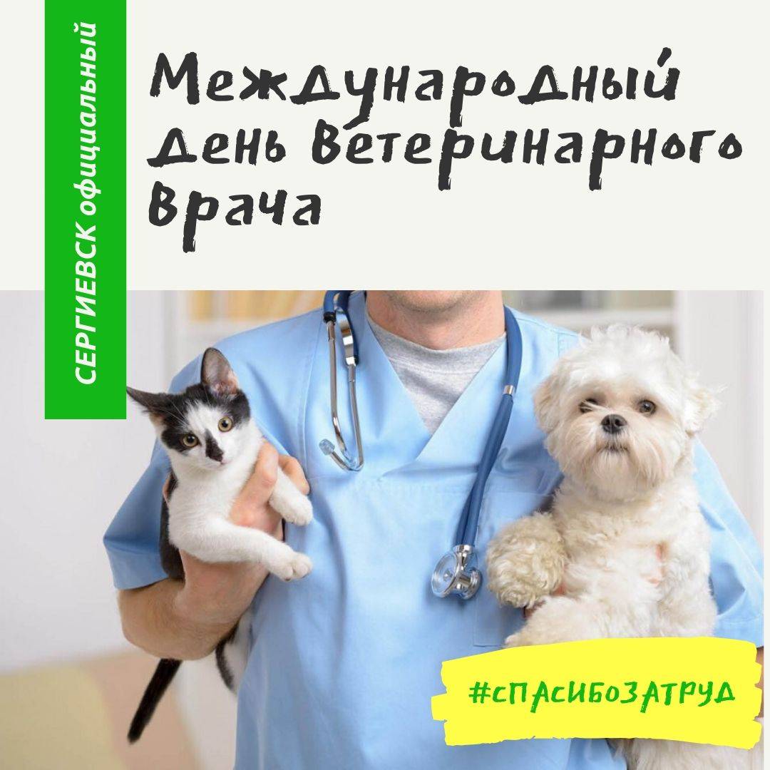 Праздник 24 апреля 2016 года – международный день ветеринарного врача. история и основы профессии ветеринарного врача » станция по борьбе с болезнями животных