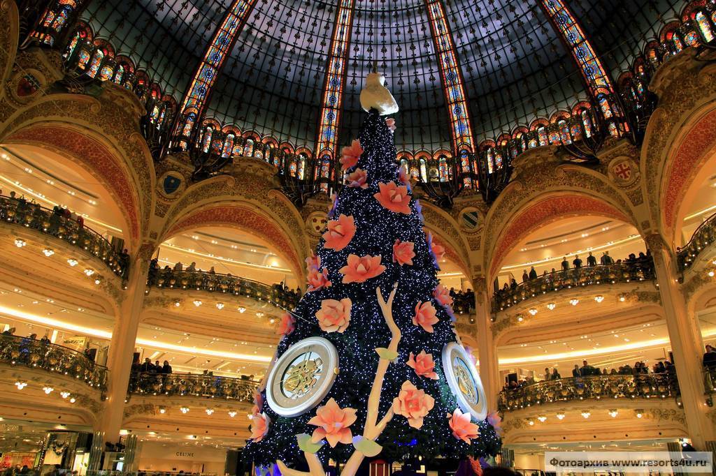 Какая была самая высокая новогодняя елка в мире, европе и где она стояла? самая высокая новогодняя и рождественская елка рекорд гиннеса: высота, фото. фотографии самых красивых высоких новогодних и рождественских елок мира