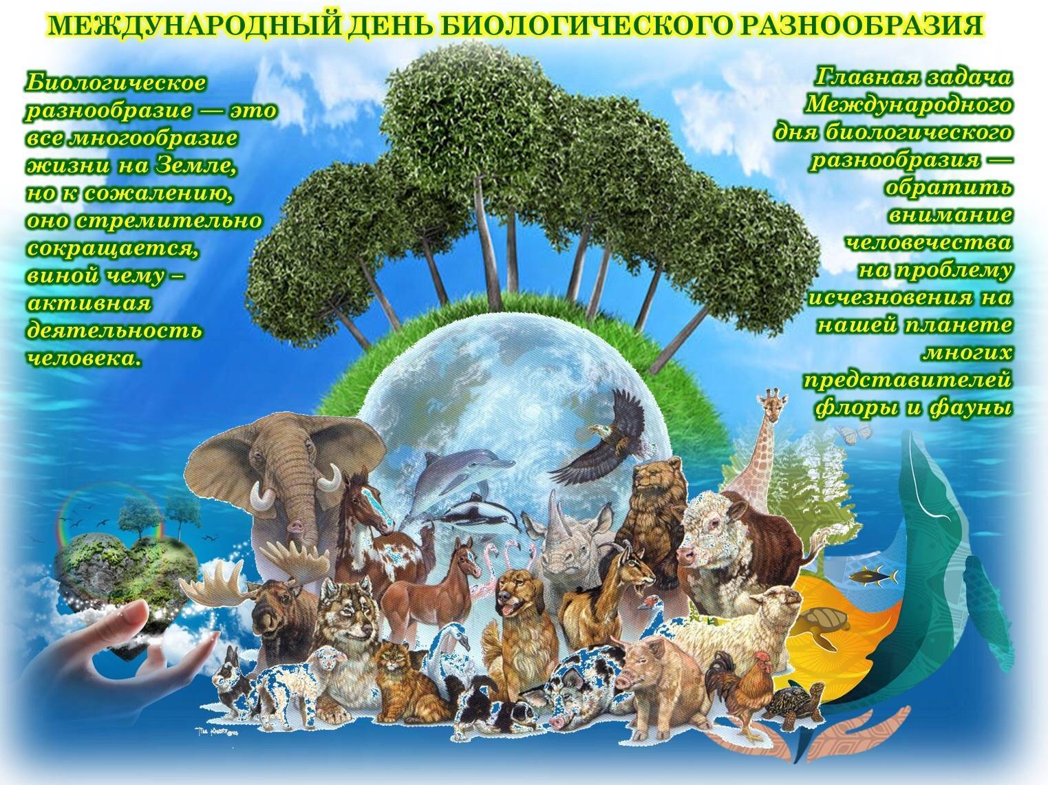 Международный день биологического разнообразия деятельность а также тема