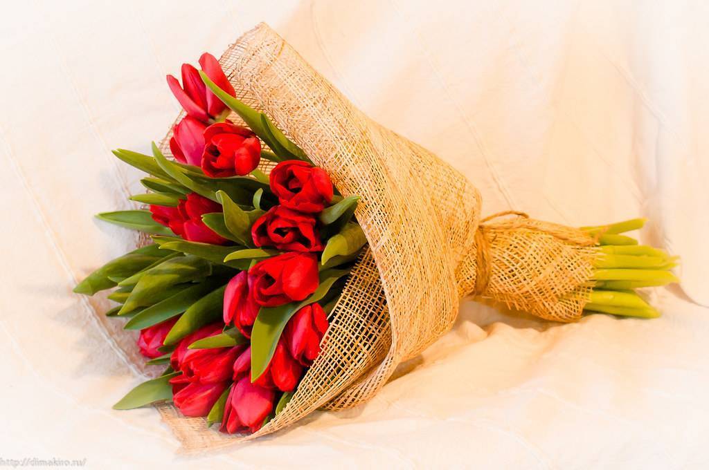 Букеты из тюльпанов фото флористов