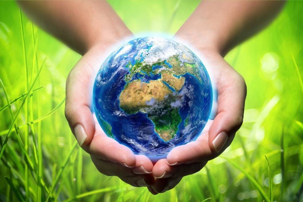 Час земли: 5 экологичных привычек от greenpeace