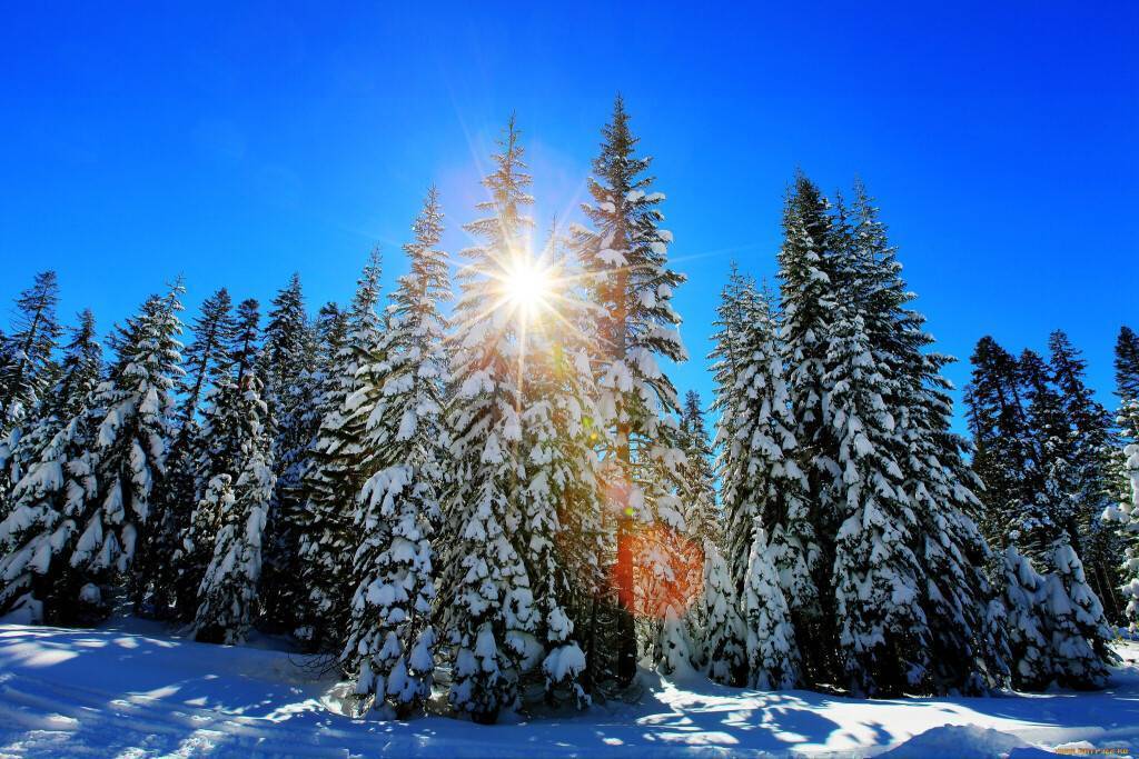 Праздник зимнее солнцестояние — традиции, приметы, обряды и заговоры