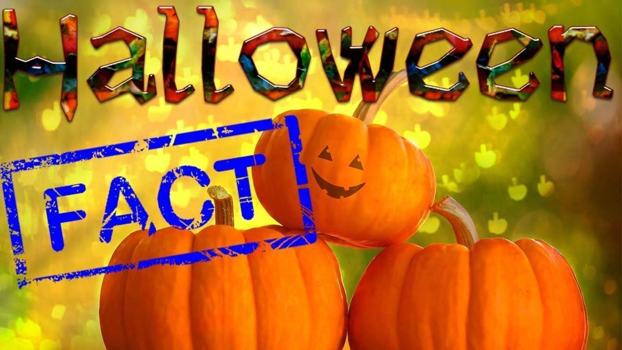 Хэллоуин — жуткое торжество или веселый праздник?: 10 малоизвестных фактов о традициях дня | мир вокруг нас | школажизни.ру