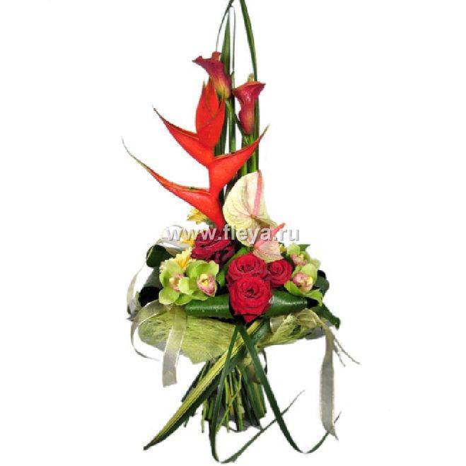 ✅ нужно ли дарить цветы мужчине на юбилей. какие цветы можно дарить мужчинам - vek-msk.ru