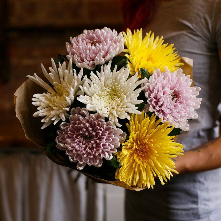 Красивые букеты из хризантем — как упаковать и сохранить