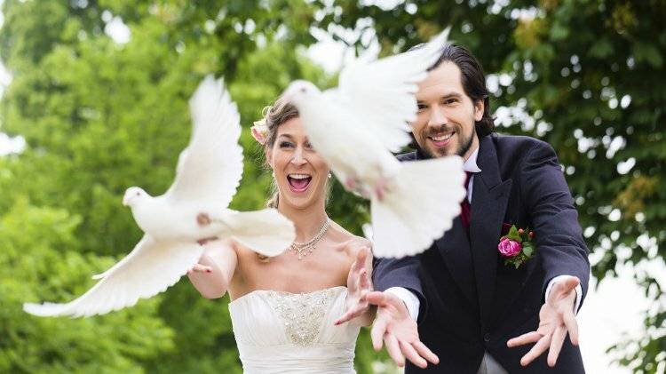 Любовь и голуби: как правильно организовать выпуск голубей на свадьбе?