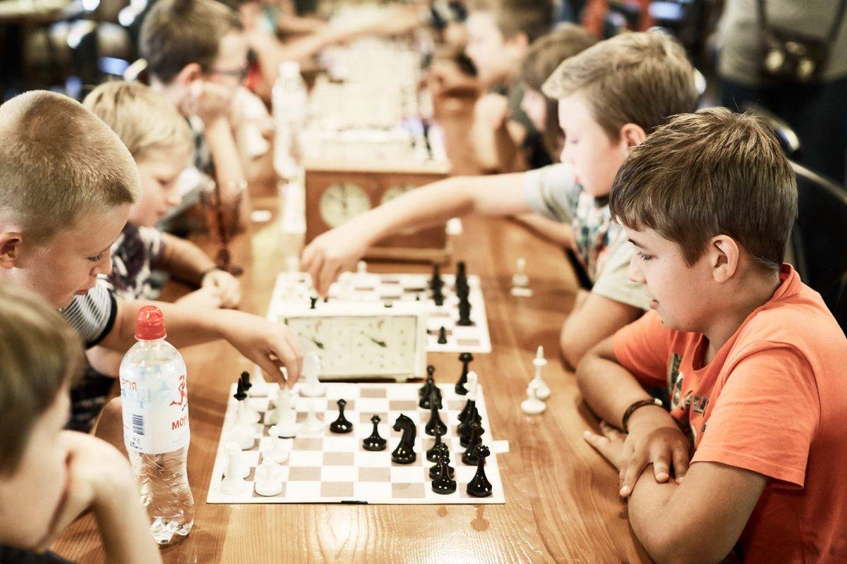 Шахматы, занятия для детей  онлайн