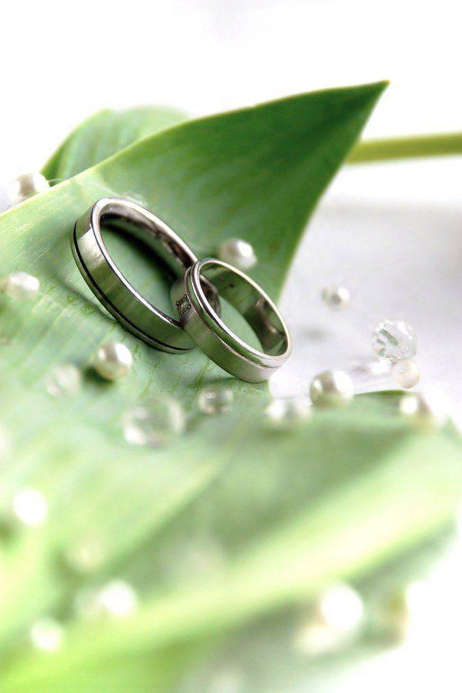 Зелёная свадьба — день бракосочетания