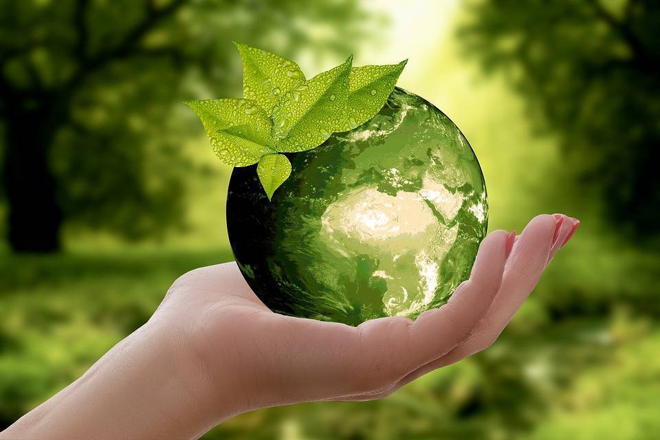 Экологический праздник «окружающую среду оберегаем, в чистом мире подрастаем». воспитателям детских садов, школьным учителям и педагогам - маам.ру