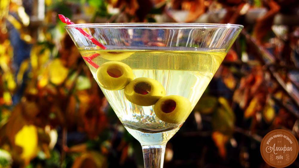 Как правильно пить martini: традиционная подача, закуски и популярные коктейли